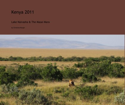 Kenya 2011 book cover
