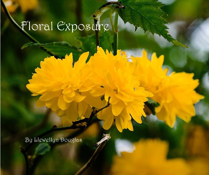 View Floral Exposure by Llewellyn Douglas