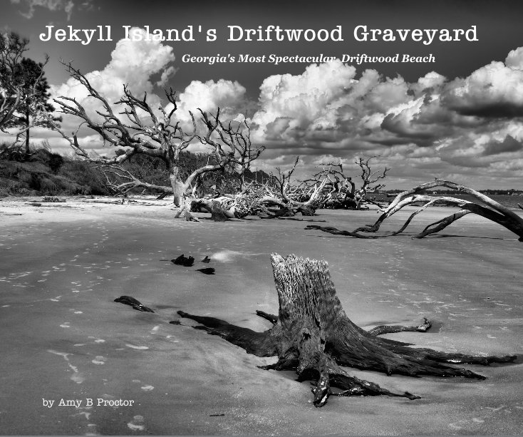 Ver Jekyll Island's Driftwood Graveyard por Amy B Proctor