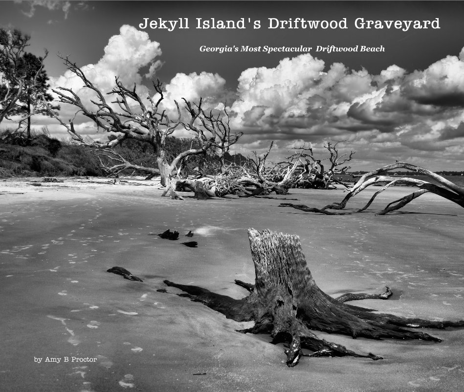 View Jekyll Island's Driftwood Graveyard by Amy B Proctor