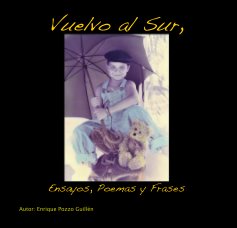 Vuelvo al Sur, book cover