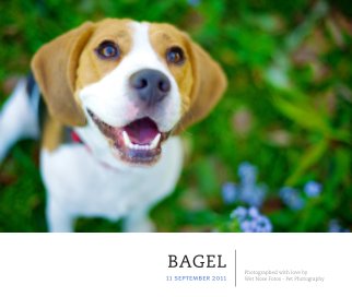 Bagel book cover