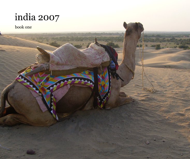 Ver india 2007 por Lesley Workman Bertelle