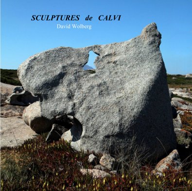 SCULPTURES de CALVI book cover