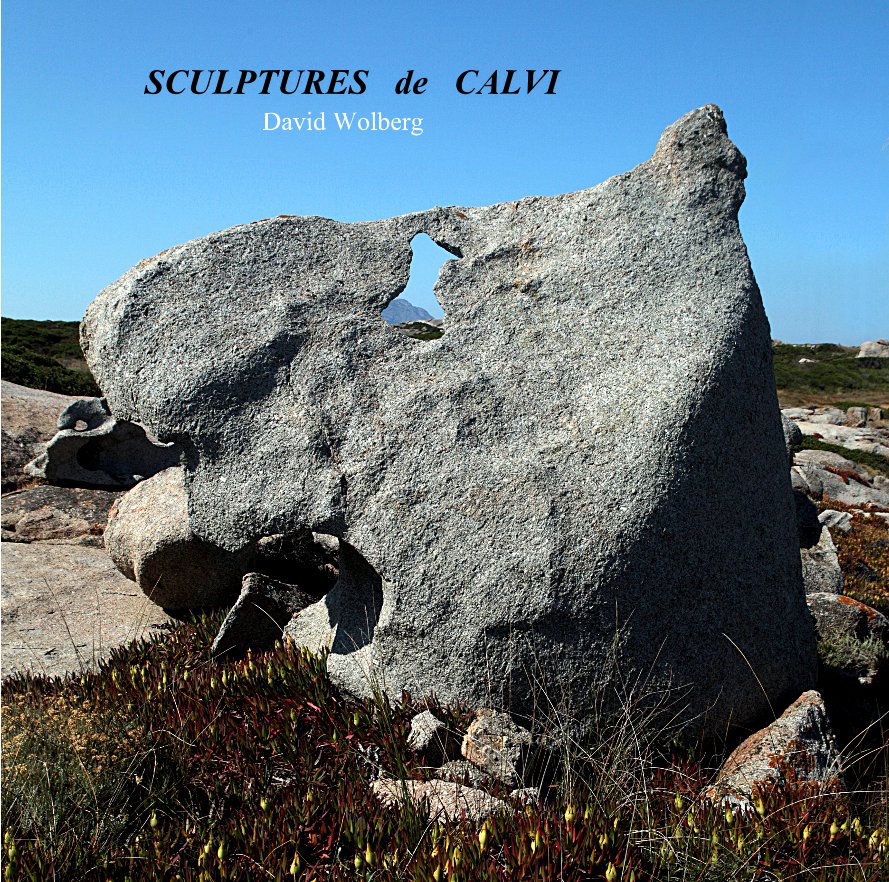 View SCULPTURES de CALVI by dwolberg