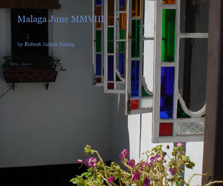 View Malaga June MMVIII by Robert James Young