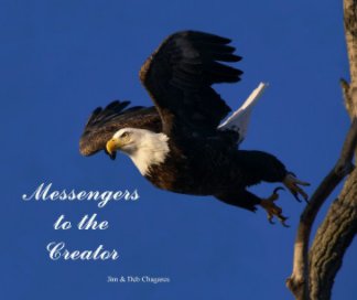 Messengers to the Creator book cover