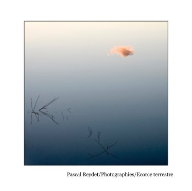 Pascal Reydet/Photographies/Ecorce terrestre book cover