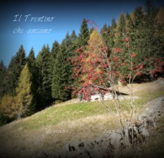 Il Trentino che amiamo book cover