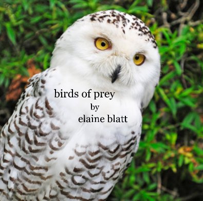 birds of prey by elaine blatt book cover