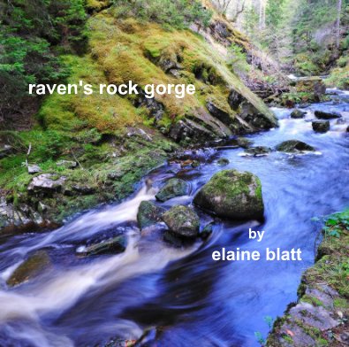 raven's rock gorge by elaine blatt book cover