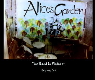The Band In Pictures book cover
