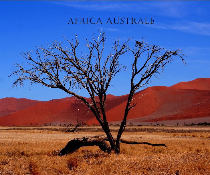 View AFRICA AUSTRALE by Marco Gaiotti