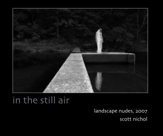 in the still air book cover