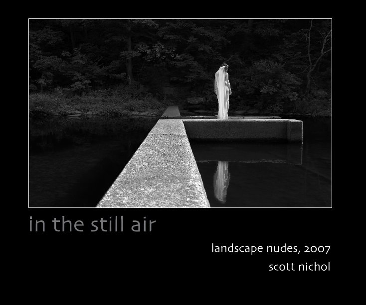 View in the still air by scott nichol