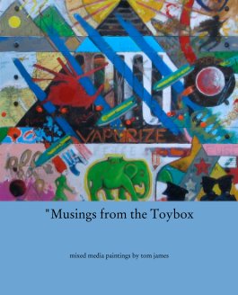 "Musings from the Toybox book cover