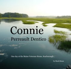 Connie Perreault Dentico book cover