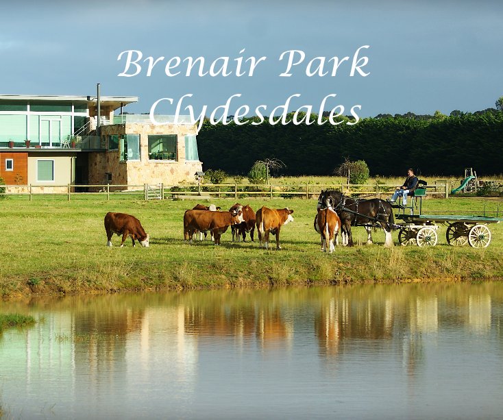 View Brenair Park Clydesdales by Seagull