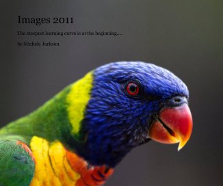 Images 2011 book cover