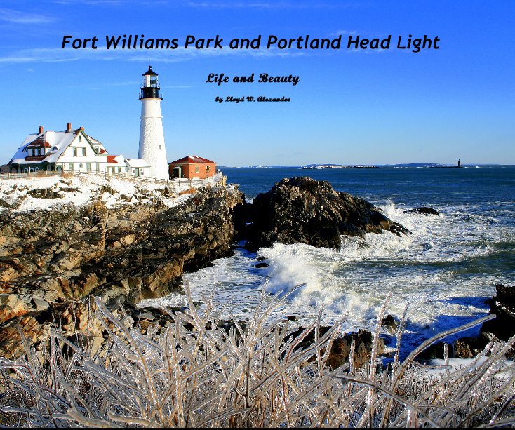 View Fort Williams Park and Portland Head Light by Lloyd W. Alexander
