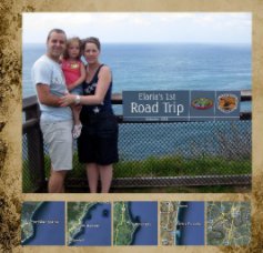 Road Trip book cover