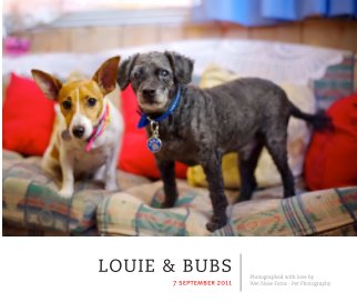 Louie & Bubs book cover