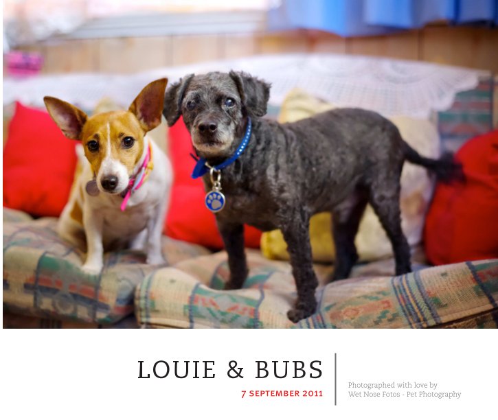 View Louie & Bubs by Wet Nose Fotos