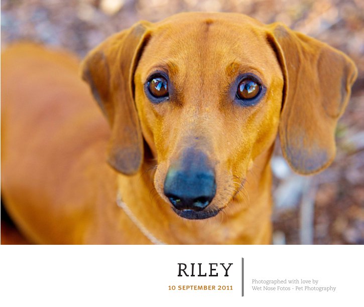 Bekijk Riley op Wet Nose Fotos
