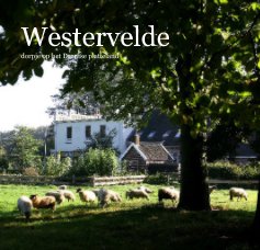 Westervelde dorpje op het Drentse platteland book cover