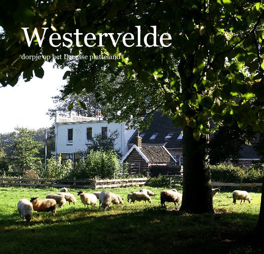 Ver Westervelde dorpje op het Drentse platteland por Foto's: Peter Voerman