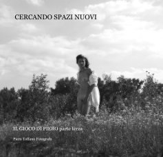 CERCANDO SPAZI NUOVI book cover