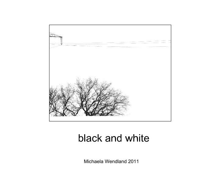 View black and white by Michaela Wendland 2011