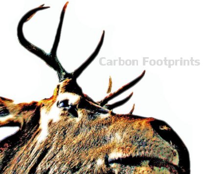 Carbon Footprints book cover
