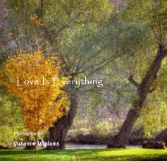 Love Is Everything book cover