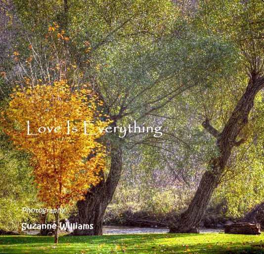 View Love Is Everything by Suzanne Williams