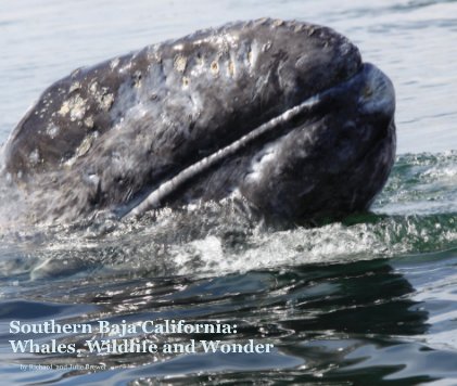 Southern Baja California: Whales, Wildlife and Wonder book cover