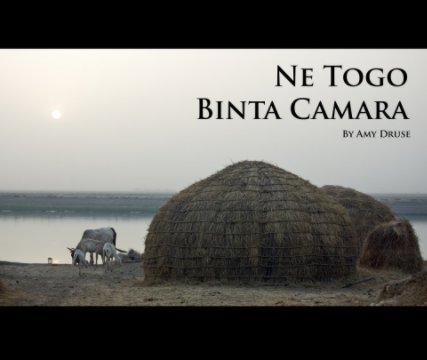 Ne Togo Binta Camara book cover