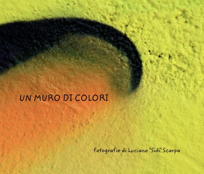 UN MURO DI COLORI book cover