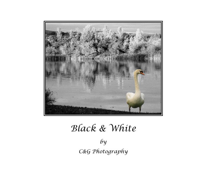 View Black & White by C&G Photography