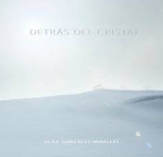 DETRÁS DEL CRISTAL book cover
