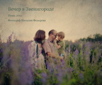 Вечер в Звенигороде book cover