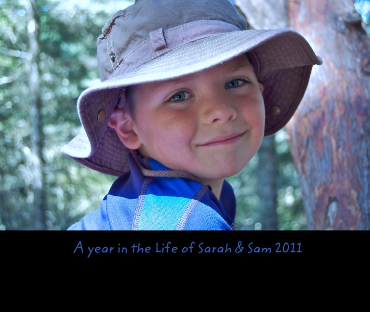 Ver A year in the Life of Sarah & Sam 2011 por planejayne