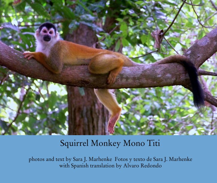 Ver Squirrel Monkey Mono Titi por photos and text by Sara J. Marhenke  Fotos y texto de Sara J. Marhenke
with Spanish translation by Alvaro Redondo
