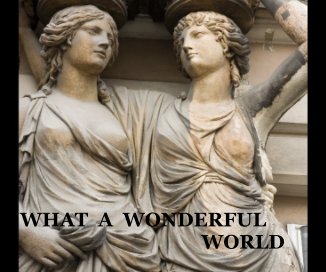 WHAT A WONDERFUL WORLD book cover