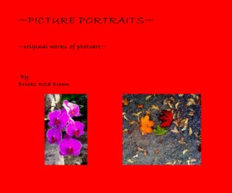 ~PICTURE PORTRAITS~ book cover