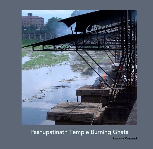 View Pashupatinath Temple Burning Ghats by Tammy Winand