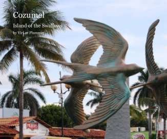 Cozumel book cover