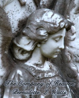 The Company of Heaven book cover