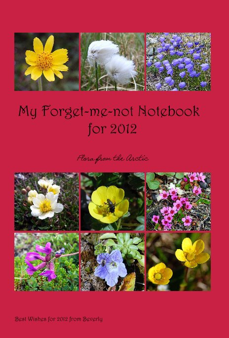 View My Forget-me-not Notebook for 2012 by Best Wishes for 2012 from Beverly