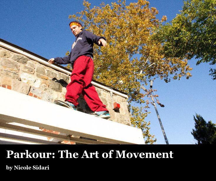 View Parkour: The Art of Movement by Nicole Sidari
